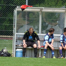 P1040386_JPG-1371538571