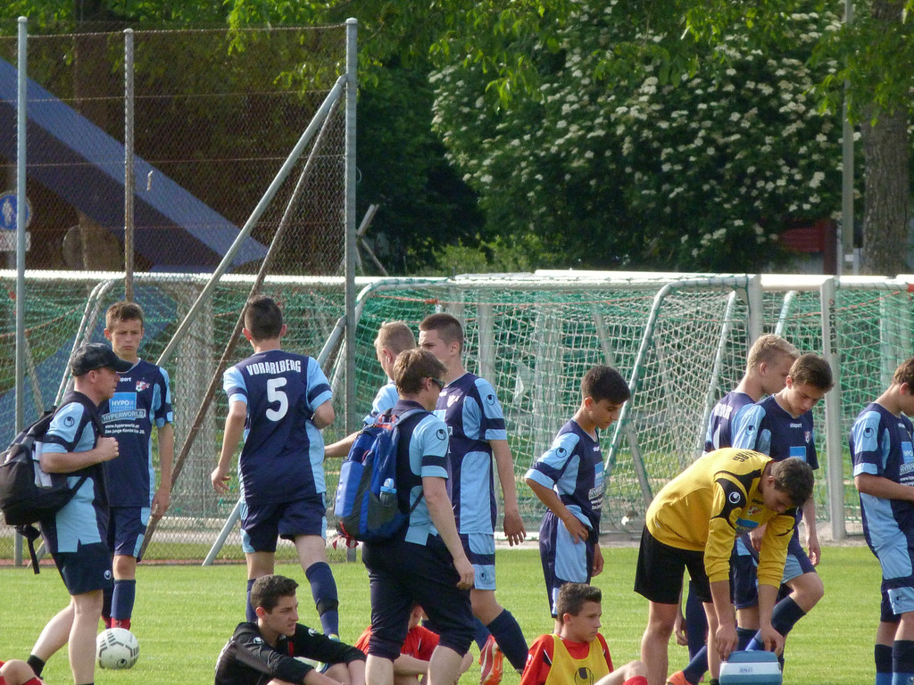 P1040533_JPG-1371538646