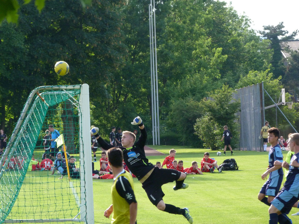 P1040583_JPG-1371538670