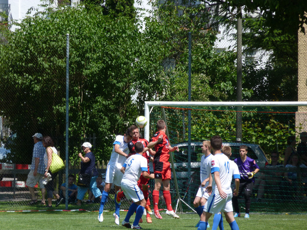 P1040654_JPG-1371538694