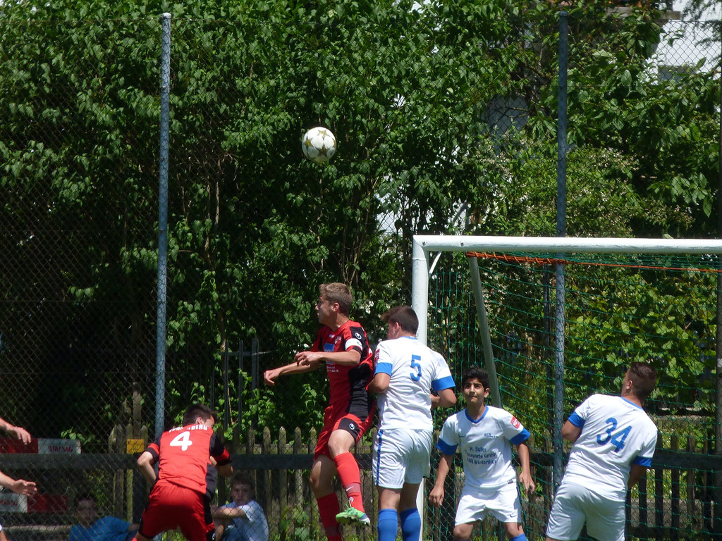 P1040688_JPG-1371538739