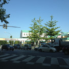 Foto2.JPG