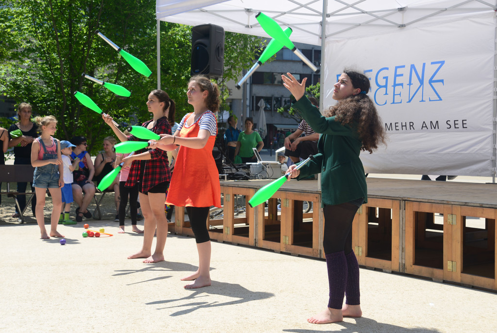 DSC_2452_jpg-1371539634