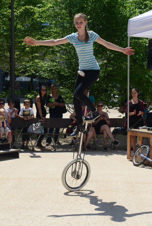 DSC_2462_jpg-1371539742