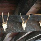 IMG_9289_JPG-1371540455