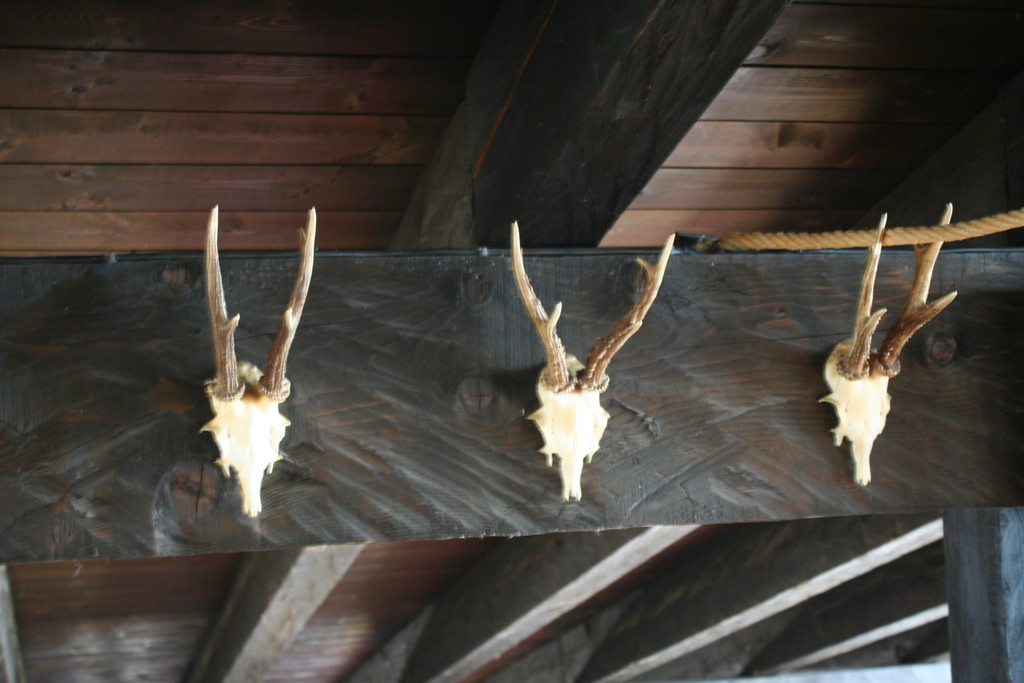 IMG_9289_JPG-1371540455