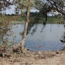IMG_8787.JPG