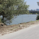 IMG_8788.JPG