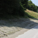 IMG_8790.JPG