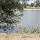 IMG_8793.JPG