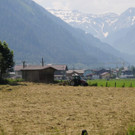 normal_180613heuernteat04003aktivnews005.JPG