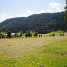 normal_180613heuernteat04003aktivnews006.JPG