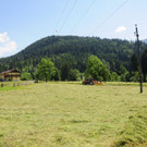 normal_180613heuernteat04003aktivnews019.JPG