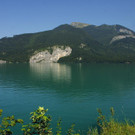 falkensteinwand-wildbild.jpg