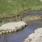 alterbach-lpb.jpg