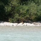 18062013koenigseeacheat07003_0023.JPG