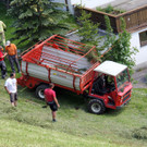 IMG_0396.JPG