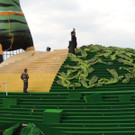   Dekorationen für die Seebühne