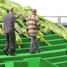 DSCN7087_JPG-1371674724