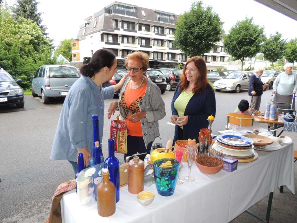 DSCN8219_JPG-1371675632