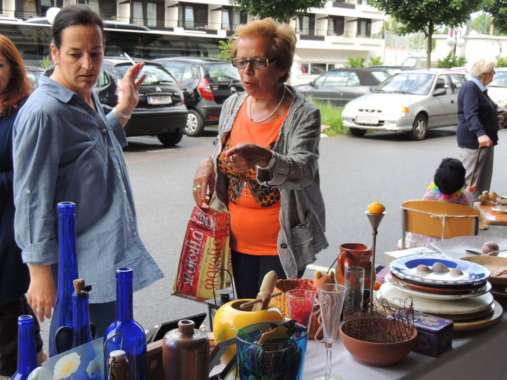 DSCN8218_JPG-1371675628