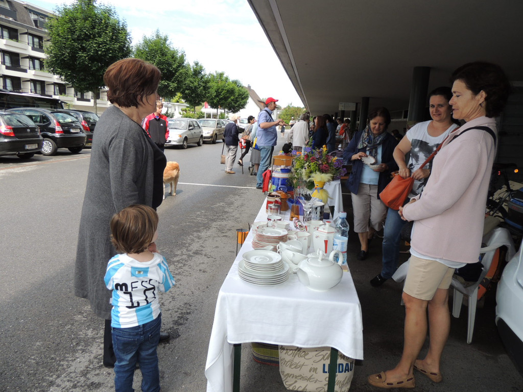 DSCN8223_JPG-1371675640