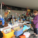 DSCN8224_JPG-1371675644