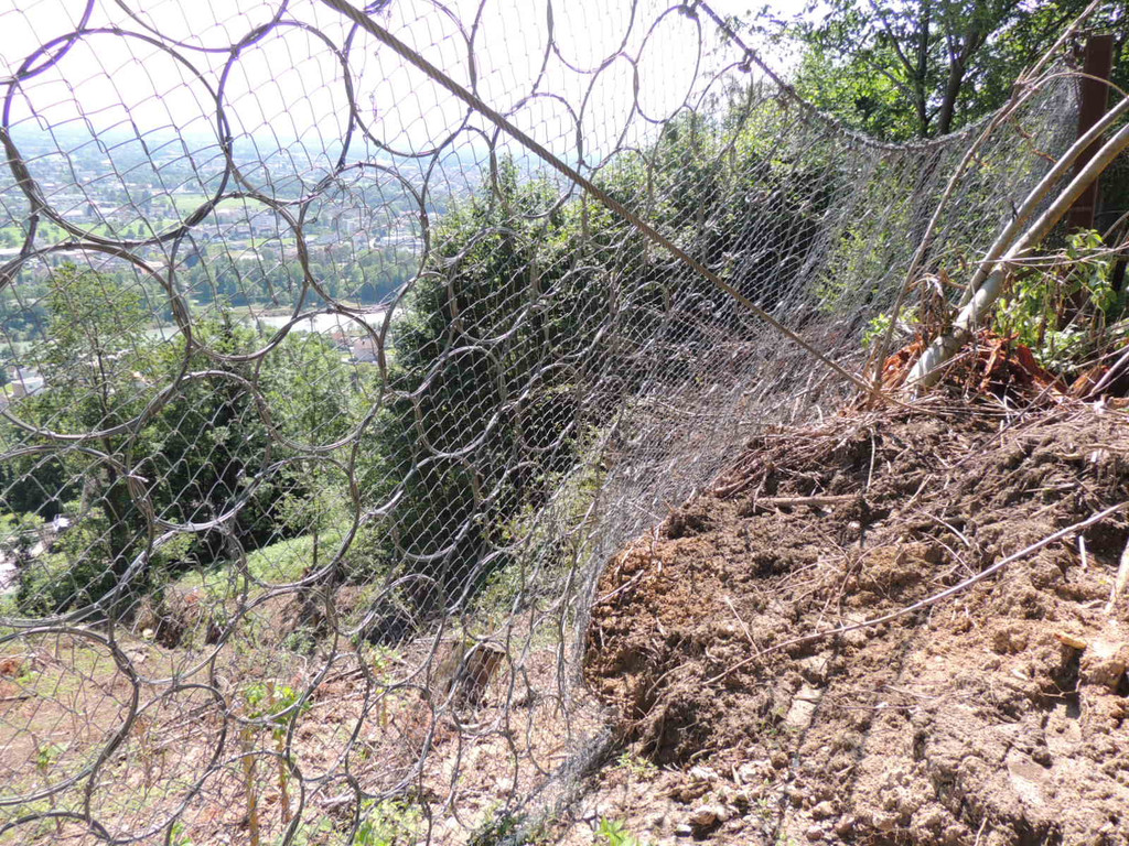 DSCN8310_JPG-1371676136