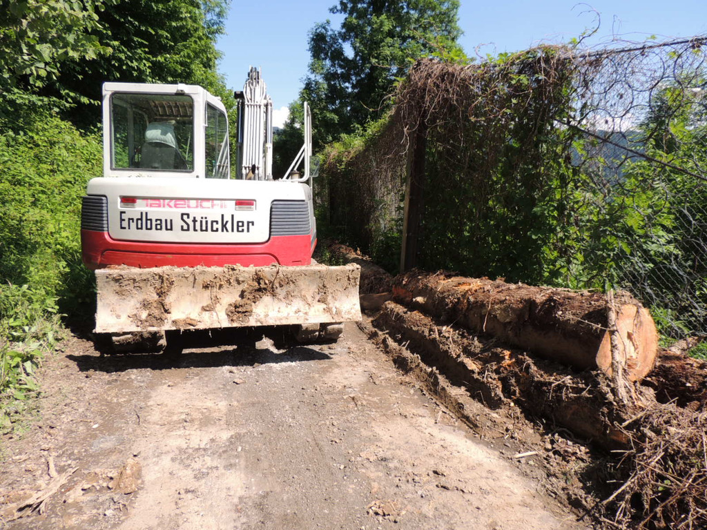 DSCN8336_JPG-1371676163