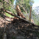 DSCN8308_JPG-1371676132