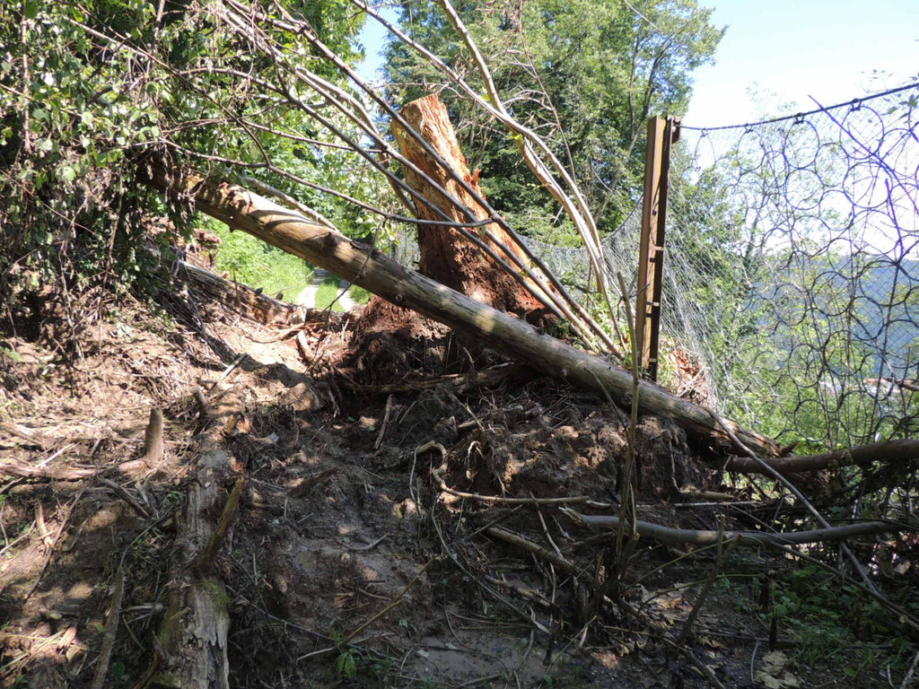 DSCN8308_JPG-1371676132