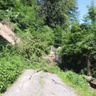 DSCN8322_JPG-1371676146