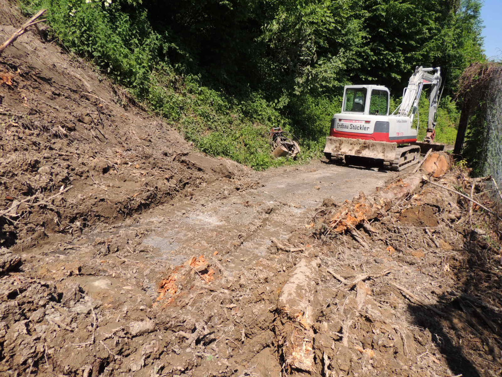 DSCN8330_JPG-1371676156