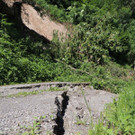 DSCN8324_JPG-1371676149