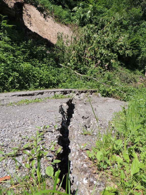 DSCN8324_JPG-1371676149