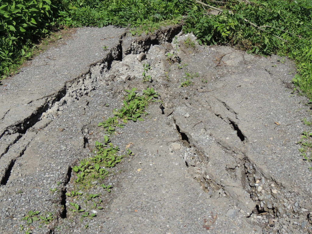 DSCN8327_JPG-1371676153