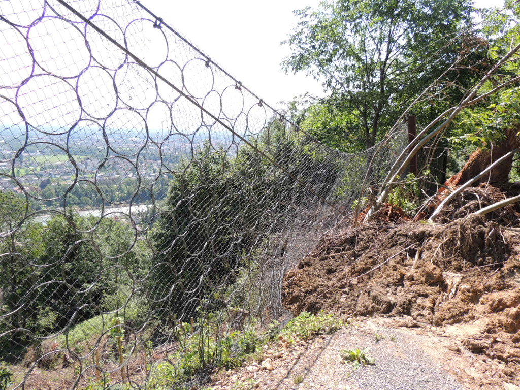 DSCN8314_JPG-1371676143