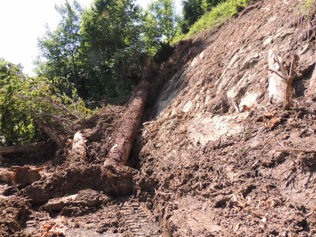 DSCN8333_JPG-1371676160