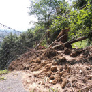 DSCN8311_JPG-1371676139