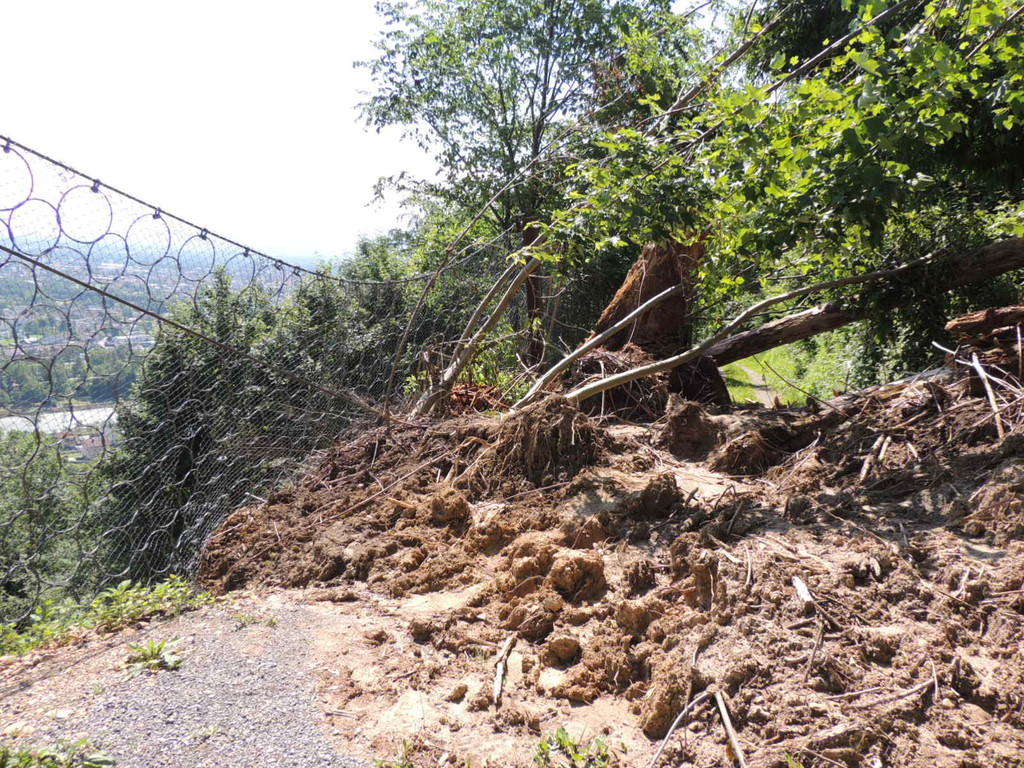 DSCN8311_JPG-1371676139