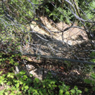 DSCN8340_JPG-1371676171