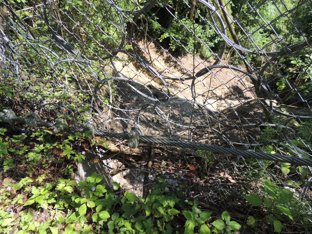 DSCN8340_JPG-1371676171