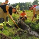 Tierrettung Lustenau13.jpg
