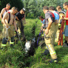 Tierrettung Lustenau22.jpg