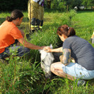 Tierrettung Lustenau05.jpg