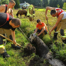 Tierrettung Lustenau11.jpg