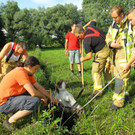 Tierrettung Lustenau07.jpg