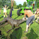 Tierrettung Lustenau25.jpg