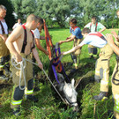 Tierrettung Lustenau23.jpg