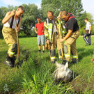 Tierrettung Lustenau02.jpg